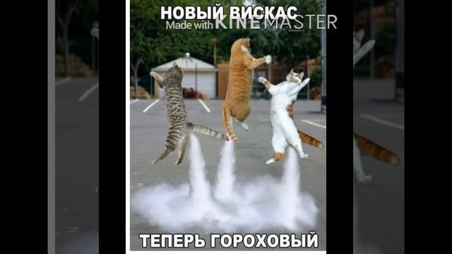 Вика ежевика/ты должен(на)это увидеть🍼🍪🍭