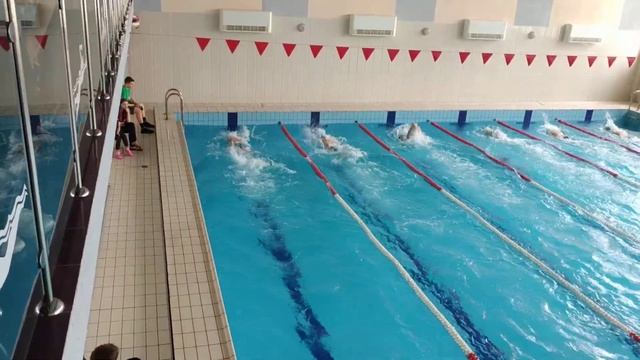 Югок. 50 вольный стиль (кроль) смотреть онлайн