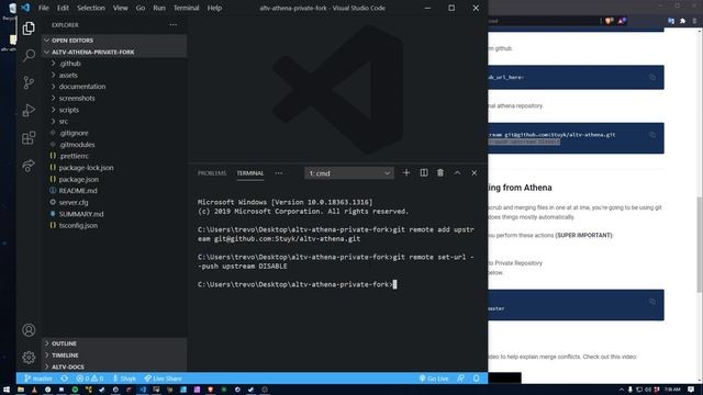 Athena - Bare Clone Guide смотреть онлайн