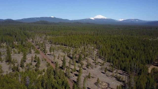 Dad Camp смотреть онлайн