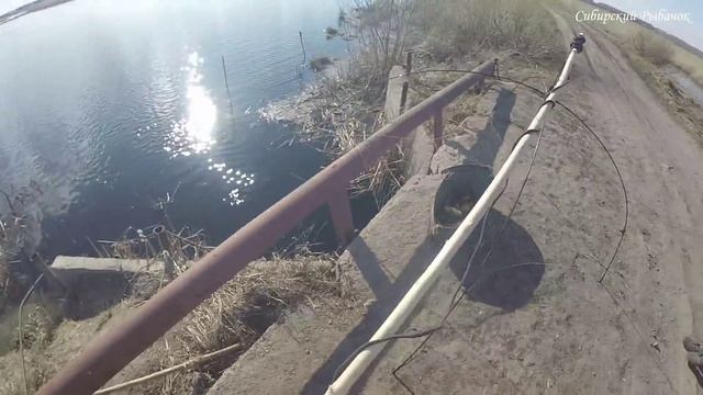 ПАУКИ ТРЕЩАТ ПО ШВАМ ОТ ЭТИХ РЫБИН! СУПЕР УДАЧНАЯ РЫБАЛКА на ПАУК ПОДЪЁМНИК!!! смотреть онлайн