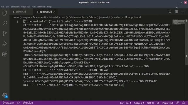 Sergio Fausto Marino - Tutorial Hyperledger Fabric 2.0 смотреть онлайн