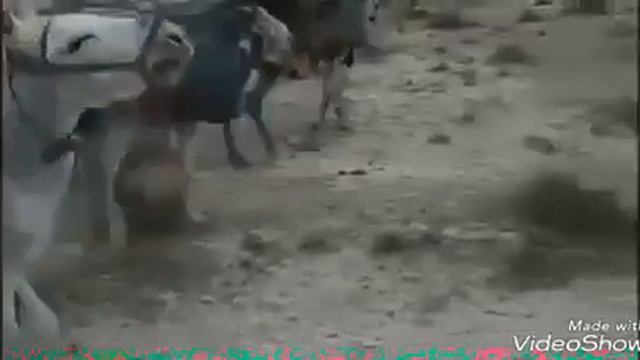 #Реклама барои граница# смотреть онлайн