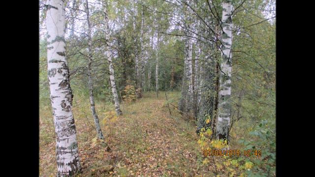 Живи село моё родное! смотреть онлайн