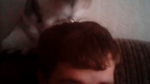 Как можно мыть голову, когда дома есть кошка смотреть онлайн