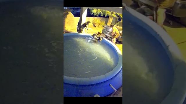 😂 смотреть онлайн