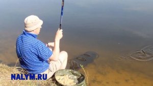 Прикормка для уклейки