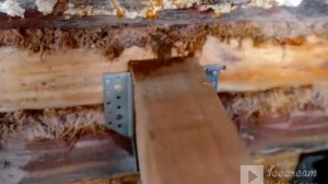 Пол в бревенчатом доме..Забуриваем сваи\укладываем брус\черновой пол...