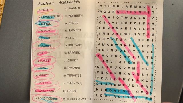 How To Play Wordsearch Online | Clue Words Are Anteater смотреть онлайн