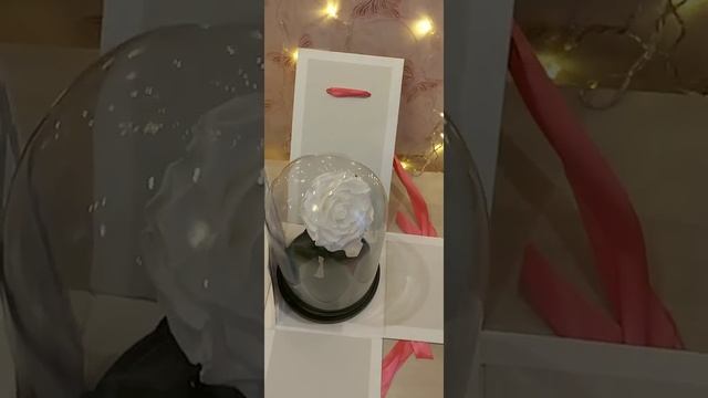 Белая роза в колбе смотреть онлайн