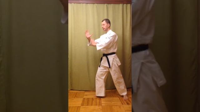 Айкидо, тренировка для подготовительной группы смотреть онлайн