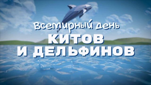 Радиожурнал Всемирный день китов и дельфинов смотреть онлайн