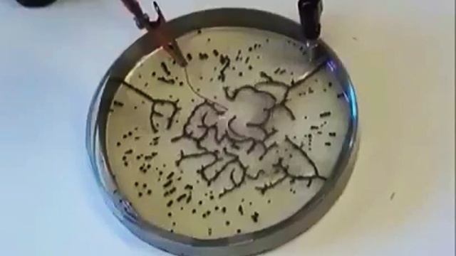 ??Graphene Oxide Reactions To 5G Radio Waves⚡Реакции Оксида Графена на Радиоволны 5G.