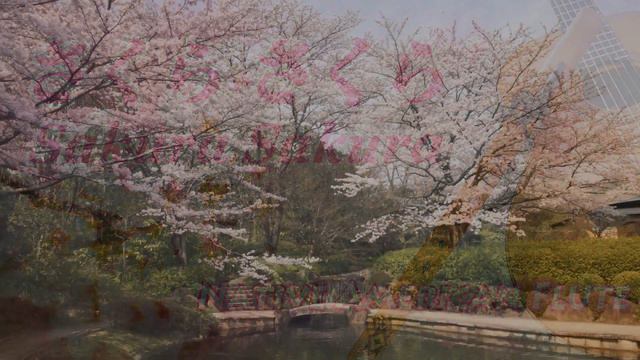Sakura Sakura - Native American Flute - Japanese traditional song смотреть онлайн