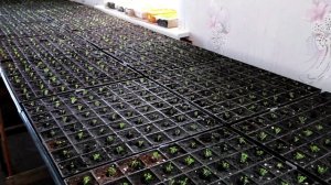 Начало сезона 2022