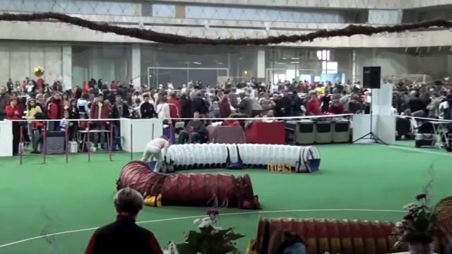 Кубок Вместе ЦСКА шелти смотреть онлайн