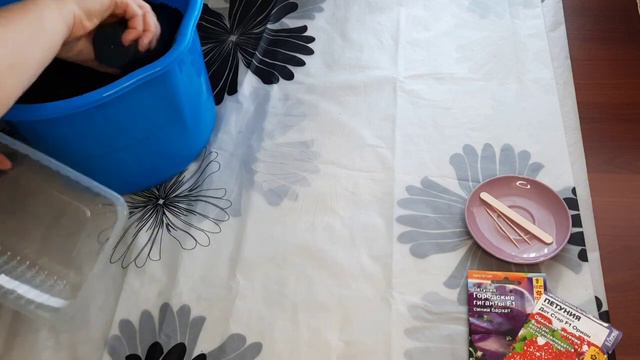 Как просто посеять петунию. смотреть онлайн