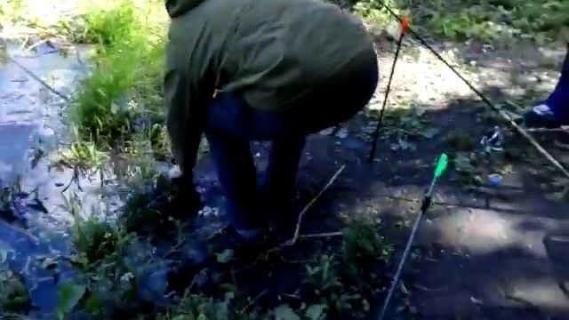 Ловля леща без подсака на реке Воронеж смотреть онлайн