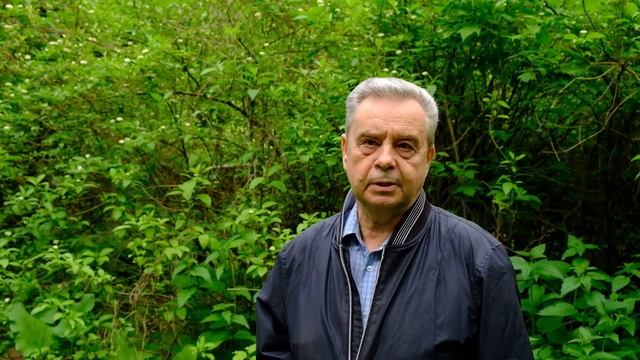 Самойлов Борис Леонтьевич о влиянии безнадзорных собак на дикую фауну смотреть онлайн