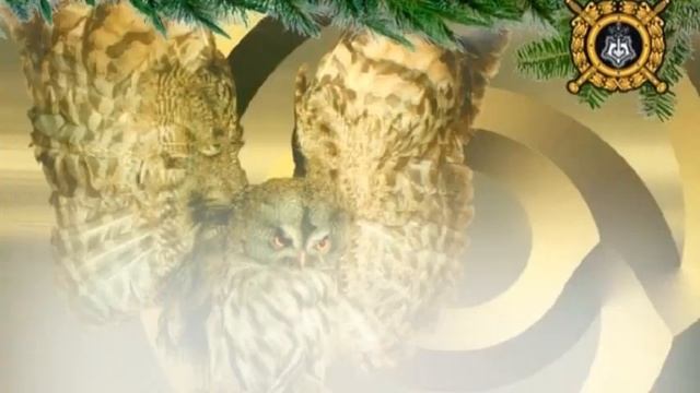 Гимн Охране смотреть онлайн