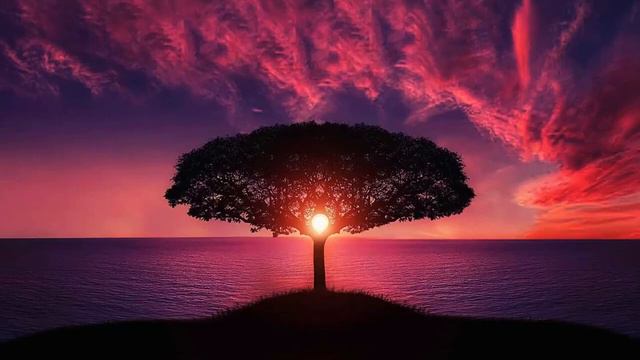 Отец Абсолют. СЛИЯНИЕ ДВУХ МИРОВ (Жизненные приоритеты на пороге Вознесения) смотреть онлайн