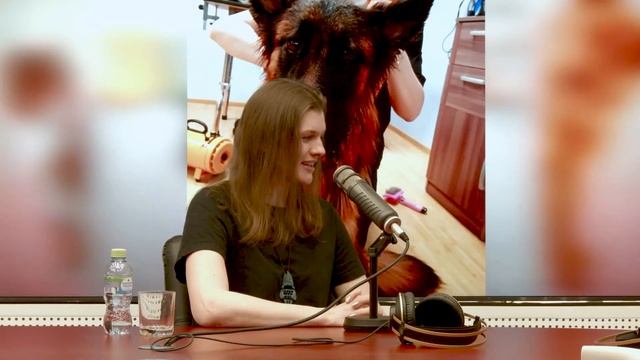 Зверьё моё: груминг собак и кошек