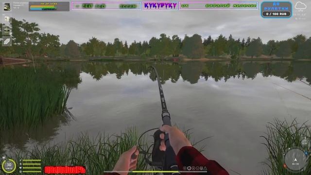 РУССКАЯ РЫБАЛКА 4 // ТУРНИРЧИКИ // РОЗЫГРЫШИ // На Янтарочке // смотреть онлайн