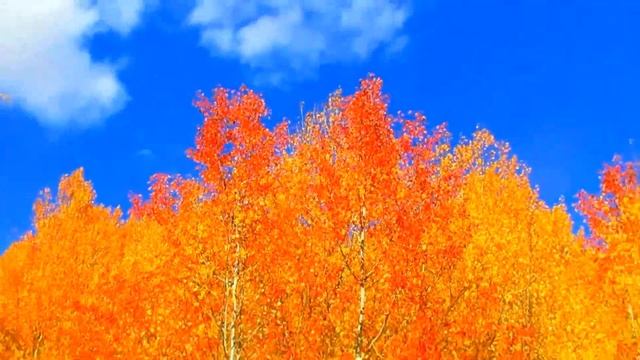 Осенняя пора, очей очарование... смотреть онлайн