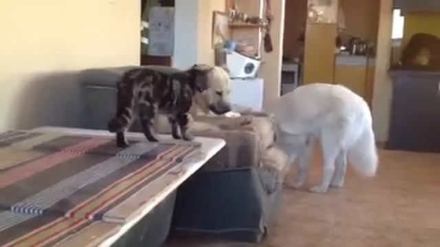 Когда мы были молодыми смотреть онлайн