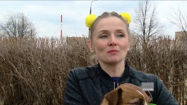 Служебная собака - четвероногий компаньон смотреть онлайн