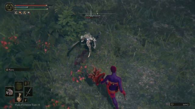 Elden Ring: Invading: NPC Old Knight Istvan Parried смотреть онлайн