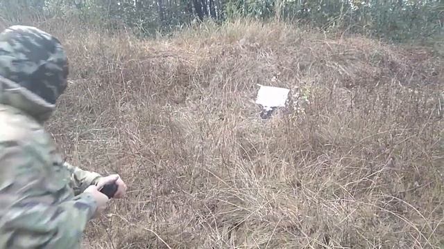 Ракетница СПШ-44 вкладыш 12 калибра длиной 160 мм тест стрельбы Часть-1 смотреть онлайн