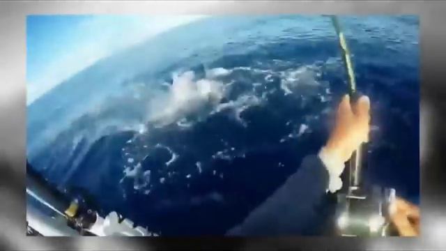 Подборка. Рыбалка. Эмоции. смотреть онлайн