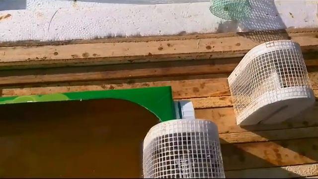 Кормушка из коробки от сока смотреть онлайн