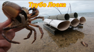 Труба ловка. Ловля краба на трубу. Черное море. Абхазия