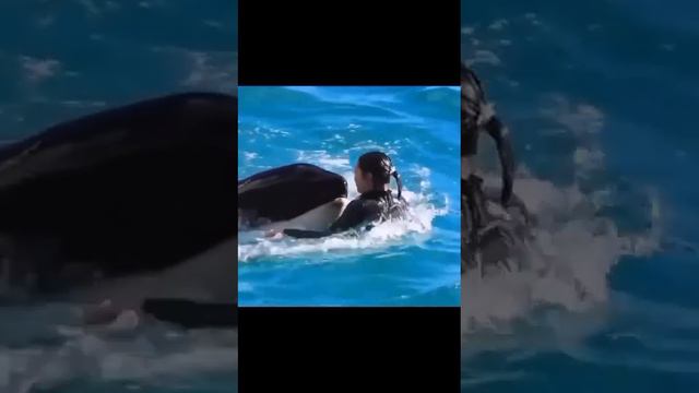 23 февраля 2024 г.