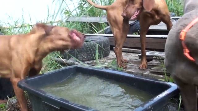 Когда на улице жарко смотреть онлайн