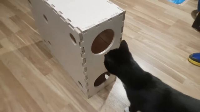 Деревянный бокс для Котов / Дом из Фанеры смотреть онлайн