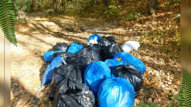 Уберите мусор и защитите природу смотреть онлайн