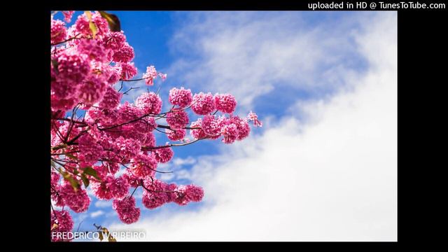PRIMAVERA E OUTONO, de Gerard Manley Hopkins смотреть онлайн