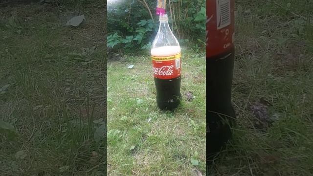 реакция кока колы и ментоса смотреть онлайн