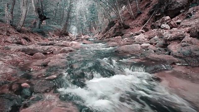 В.Тушнова "...А ОНА ЕСТЬ." - песня Олега Лагуткина смотреть онлайн