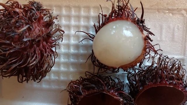 Фрукты из Таиланда. Рамбутан. смотреть онлайн