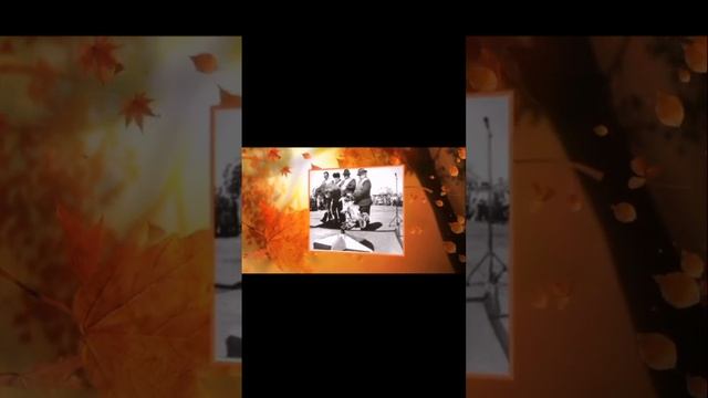 храните дедушек и бабушек Если они у вас есть смотреть онлайн