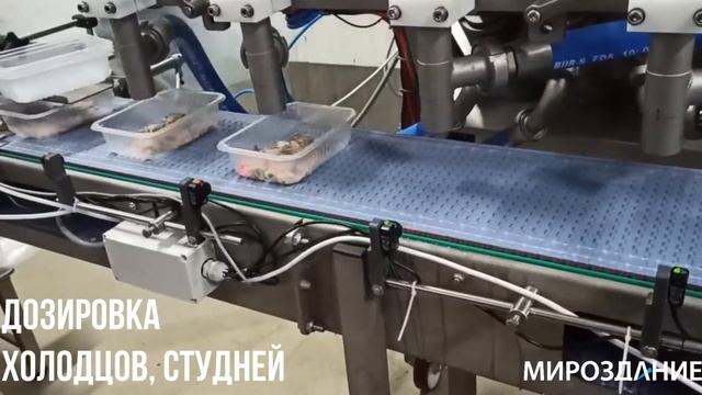 Линии приготовления и фасовки холодцов, паштетов, студней, салатов смотреть онлайн