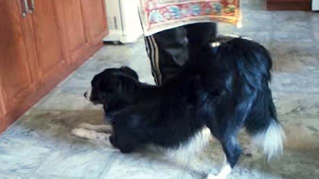 WARNING! : You might be a Modder : Test 1 смотреть онлайн