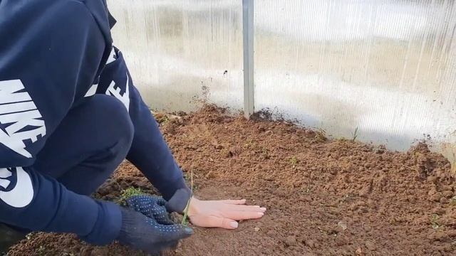 Первый в жизни скворечник/ Сажаем первую зелень/Обрезаем деревья.