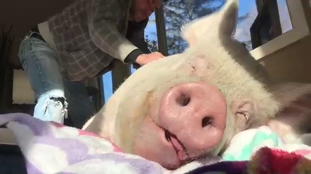 Когда жизнь удалась! смотреть онлайн