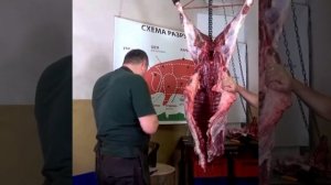 Как правильно разделывать дикого кабана