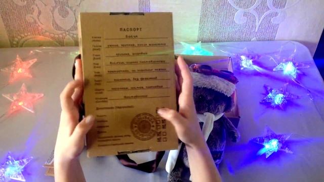 Обзор на Кота Басика/Review a cat Basik смотреть онлайн